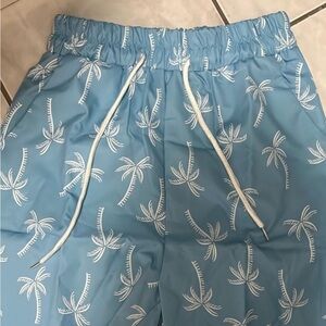 Blue Palm Tree Print Men's Shorts